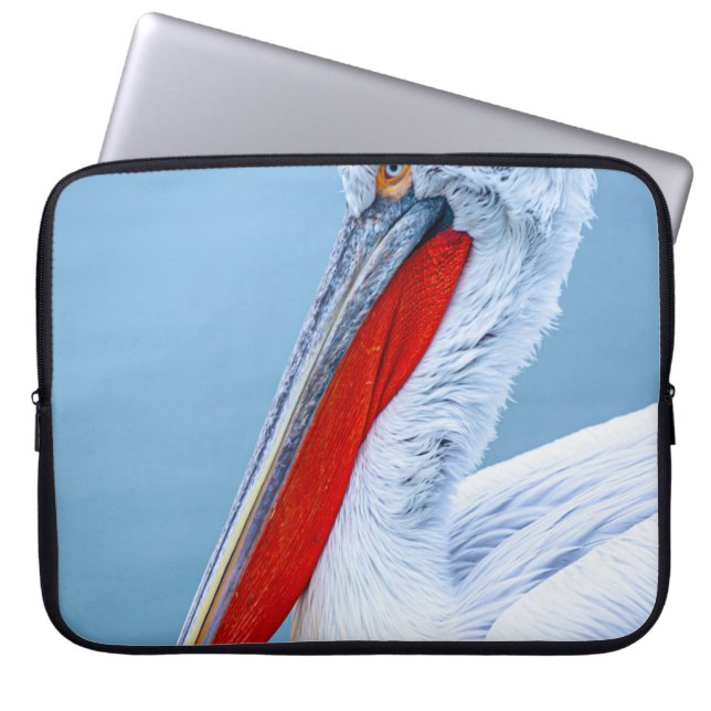 PELIKANPORTRAT LAPTOPSCHUTZHÜLLE (Vorderseite)