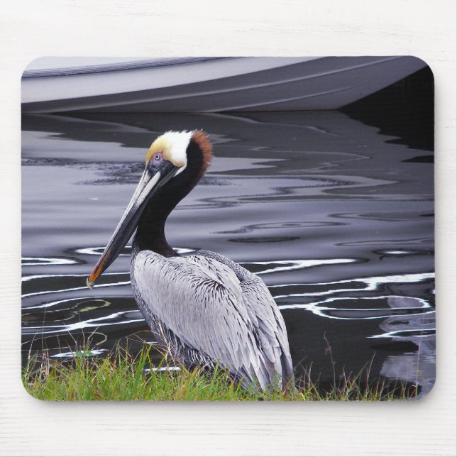 PelikanPoser Mousepad (Vorne)