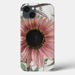 Pellrosa Sonnenblume Case-Mate iPhone Hülle