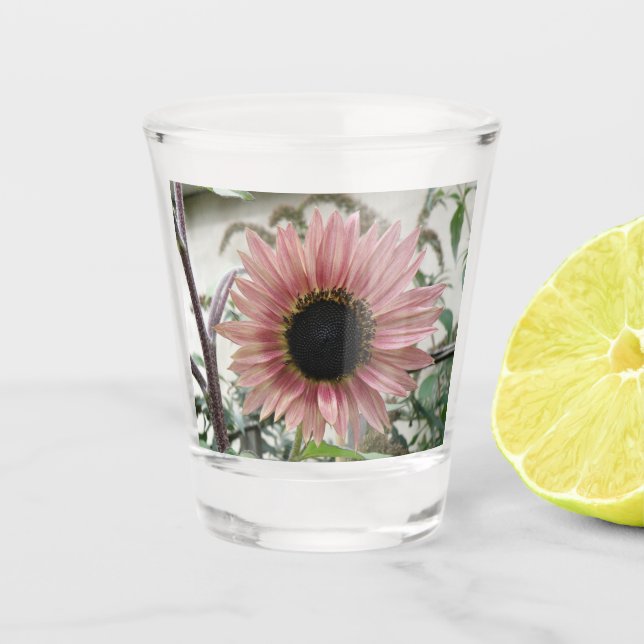 Pellrosa Sonnenblume Schnapsglas (Vorderseite)