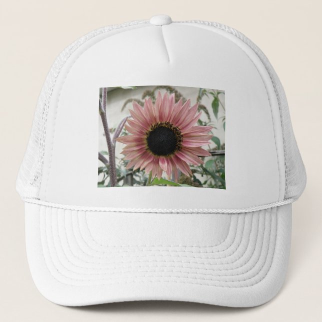 Pellrosa Sonnenblume Truckerkappe (Vorderseite)