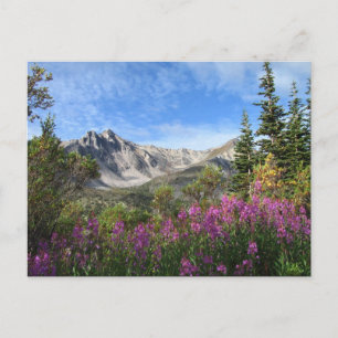 Pelly Mountain Vista Postkarte