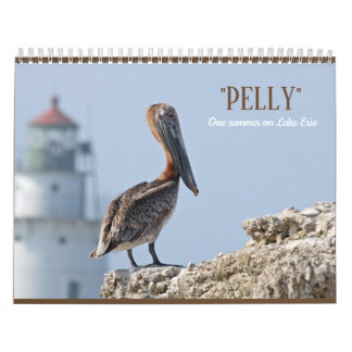 "Pelly - un été calendrier mural sur lac Érié"