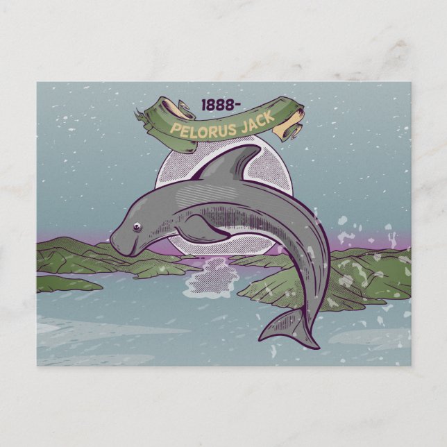 Pelorus Jack Risso-Dolphin Postkarte (Vorderseite)