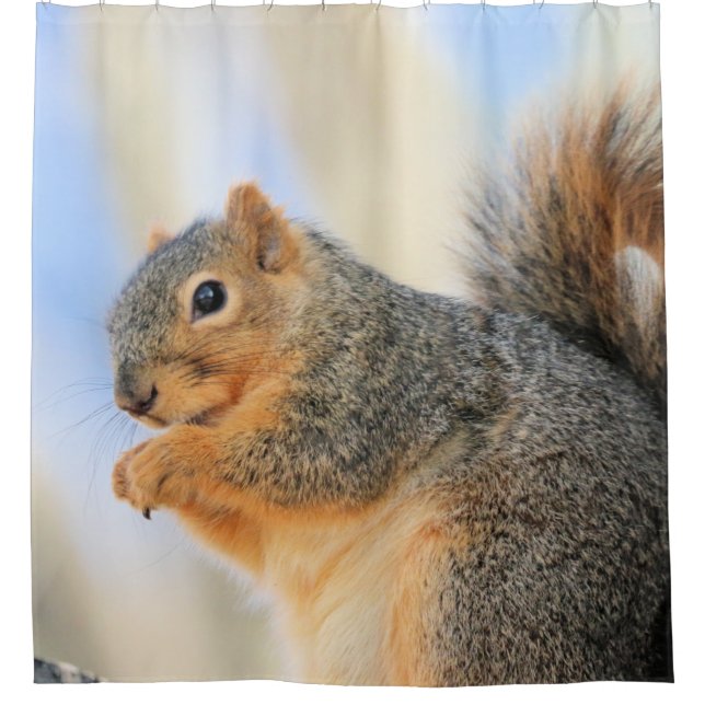 Pelotball Duschvorhang (Vorderseite)