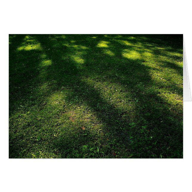 Pelouse dorée (Devant horizontal)