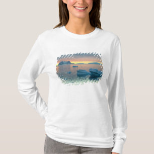 Peltier-Kanal im letzten Tageslicht T-Shirt