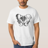 PELVIS