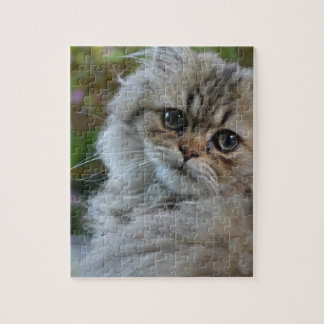 Pelzkatze