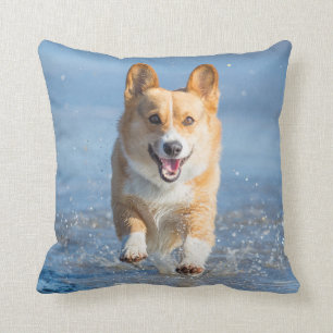 Pembroke-Walisercorgi-Hund, der auf den Strand Kissen