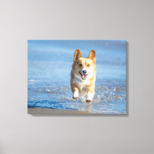 Pembroke-Walisercorgi-Hund, der auf den Strand Leinwanddruck