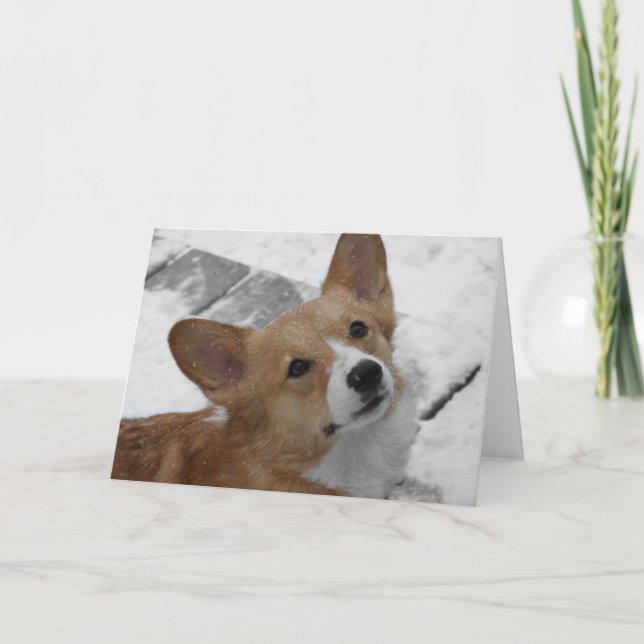 Pembroke-WaliserCorgi in der Schnee-Karte Karte (Vorderseite)