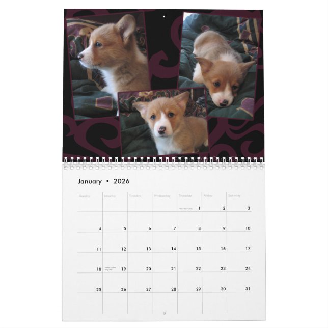 Pembroke-Walisercorgi-Kalender 2011 Kalender (Jan 2026)