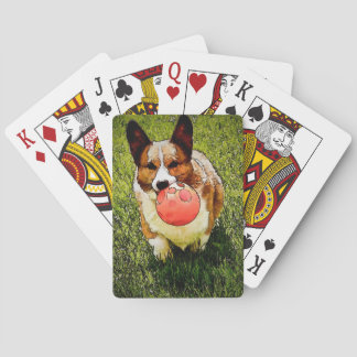 Pembroke-WaliserCorgi Spielkarten