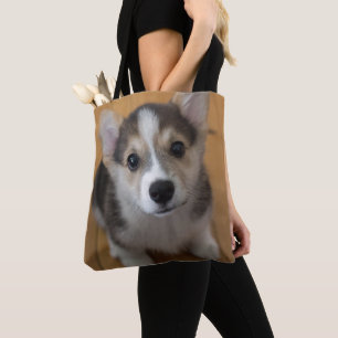 Pembroke-Walisercorgi-Welpe 3 Tasche