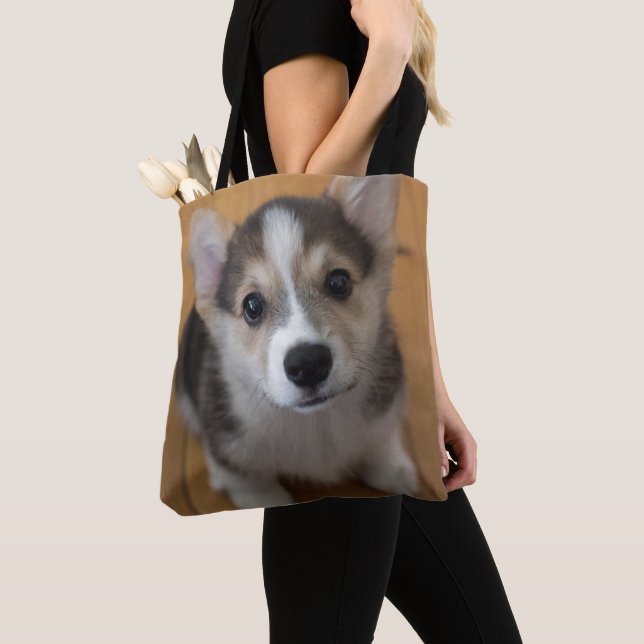 Pembroke-Walisercorgi-Welpe 3 Tasche (Von Nahem)