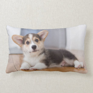Pembroke-Walisercorgi-Welpe Lendenkissen