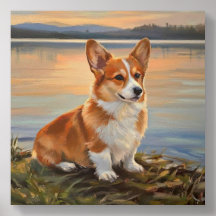 Pembroke Welsh Corgi