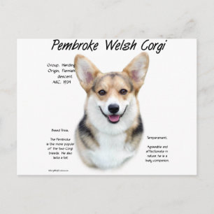 Pembroke Welsh Corgi History Design Postkarte