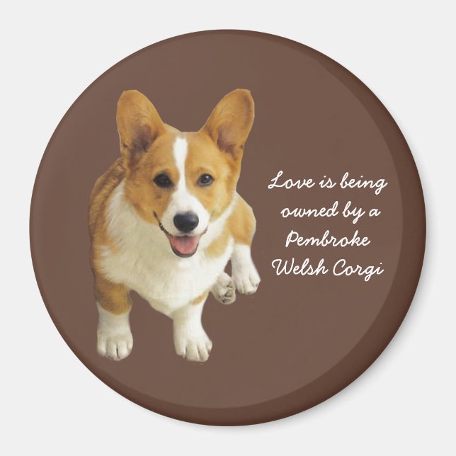 Pembroke Welsh Corgi Joyeux Aimant (Devant)