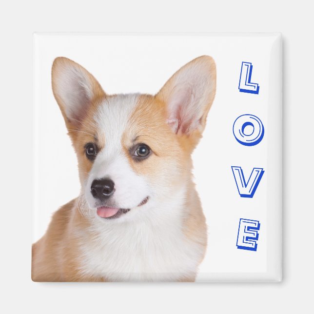 Pembroke Welsh Corgi Liebe Kühlschrank Magnet (Vorne)
