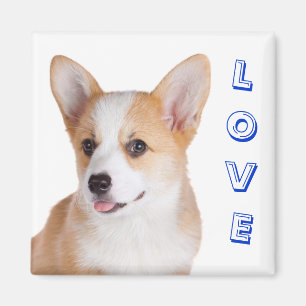 Pembroke Welsh Corgi Love Refrigerator Magnet