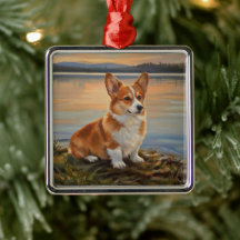 Pembroke Welsh Corgi