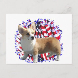 Pembroke Welsh Corgi Patriot Postkarte