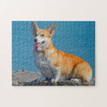 Pembroke Welsh Corgi Puppy Dog