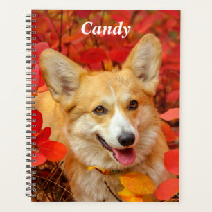 Pembroke Welsh Corgi Puppy Dog in Red Blätter Planer