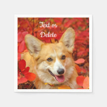 Pembroke Welsh Corgi Puppy Dog in Red Blätter