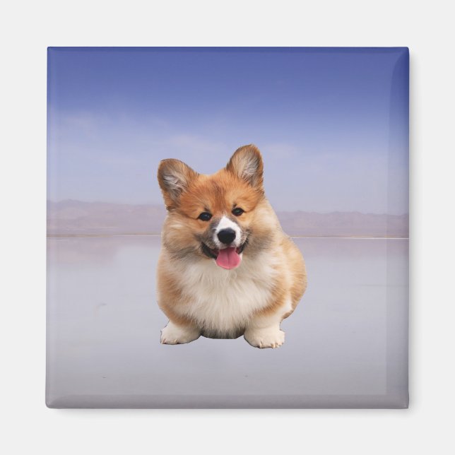 Pembroke Welsh Corgi sitzt am Strand Magnet (Vorne)