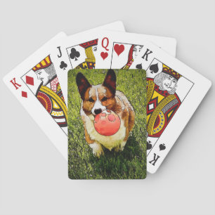 Pembroke Welsh Corgi Spielkarten