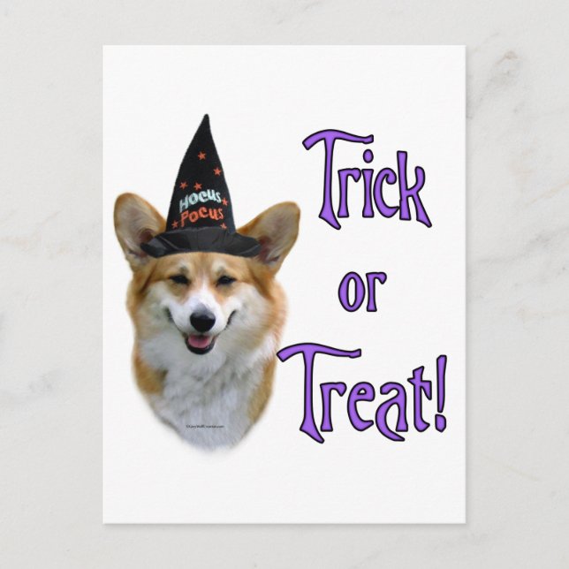 Pembroke Welsh Corgi Trick Postkarte (Vorderseite)