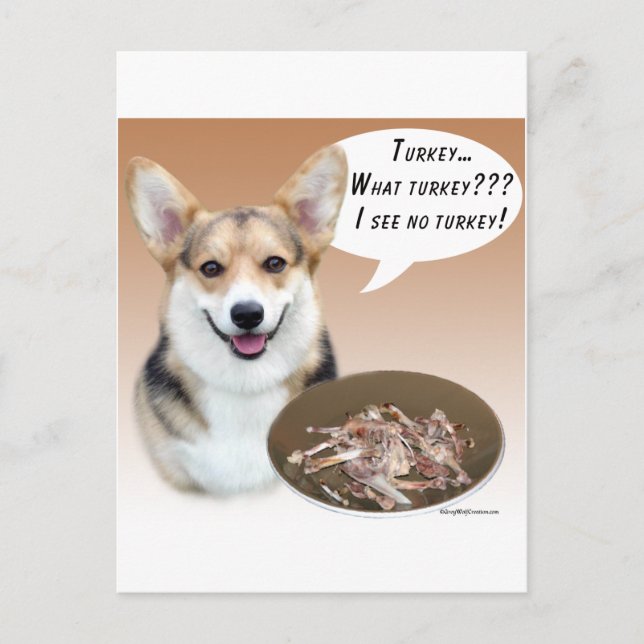 Pembroke Welsh Corgi Türkei Postkarte (Vorderseite)