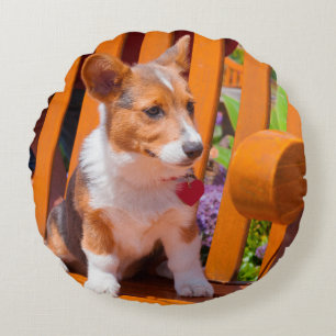 Pembroke Welsh Corgi-Welpe sitzt auf einer Parkban Rundes Kissen