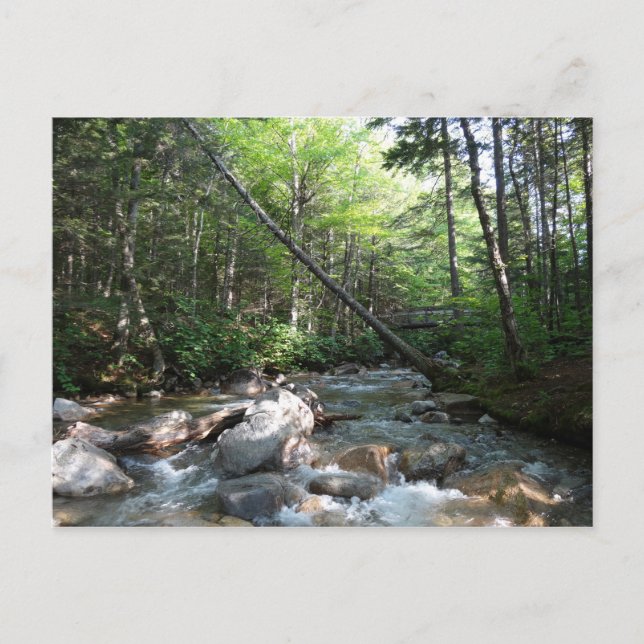 Pemigewasset River Bridge in New Hampshire Postkarte (Vorderseite)