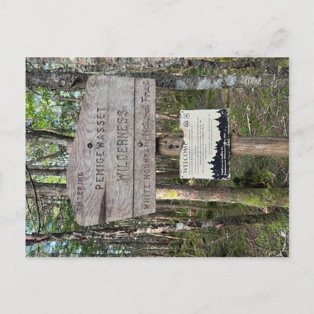 Pemigewasset Wilderness Postcard Postkarte (Vorderseite)