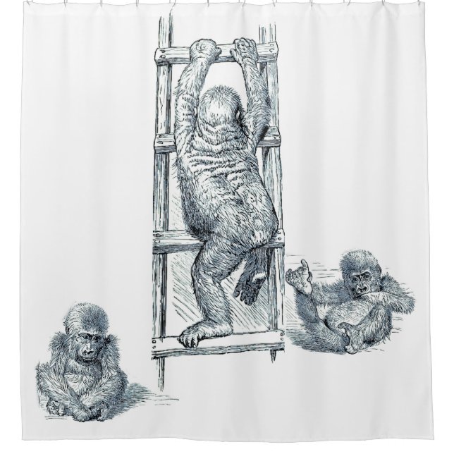 Pen/Tinte Art Jugend Gorilla Kinder Duschvorhang (Vorderseite)