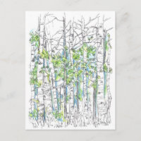 Pen und Tinte aus Aspen-Birken Zeichnend
