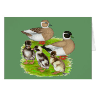 Pencied Call Duck Family
