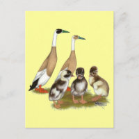 Pención Runner Duck Family