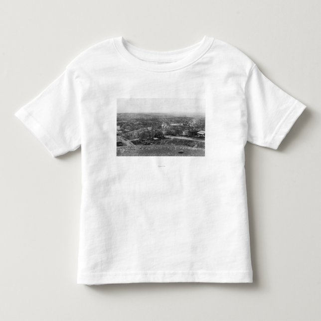 Pendleton, Oregon-Vogel-Augen-Ansicht-Fotografie Kleinkind T-shirt (Vorderseite)