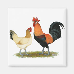 Penedesenca Magnet