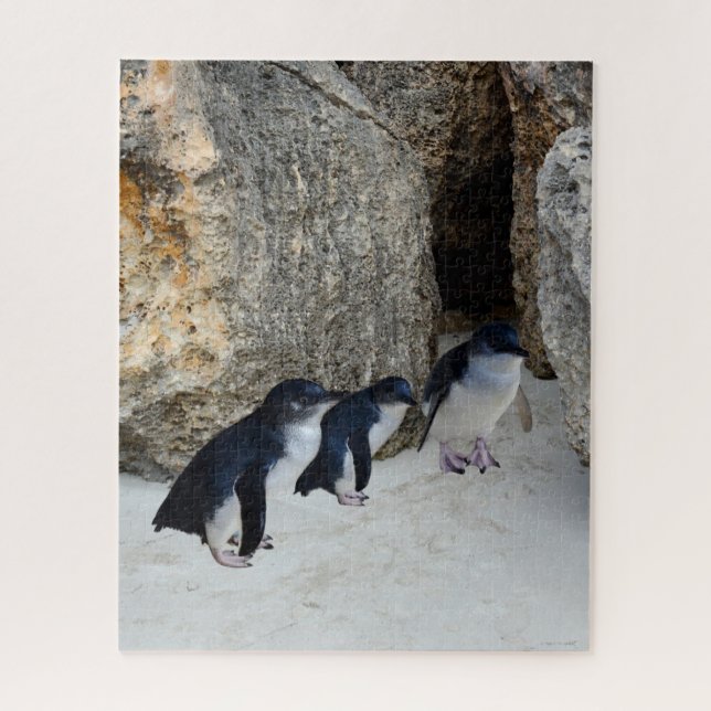 Penguin Beach House, (Vertikal)