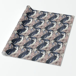 Penguin Bird Süße Tier Schwarz-weißes Wasser Geschenkpapier