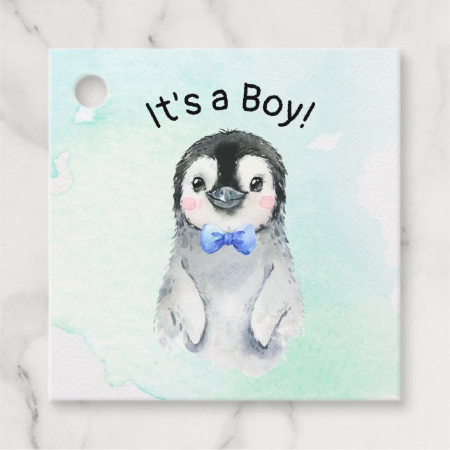 Penguin Boy Winter Geschenkanhänger (Vorderseite)