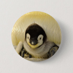 Penguin Button