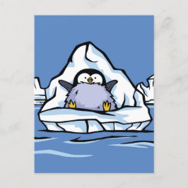 Penguin Chick Iceberg Post Card Postkarte