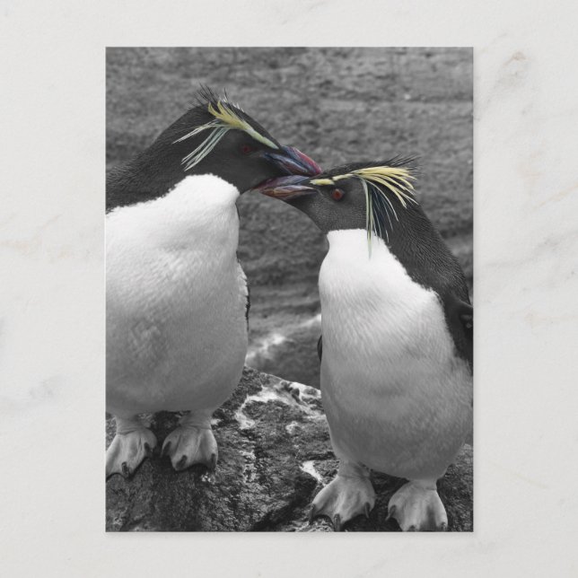 Penguin Colour Splash Feiertagspostkarte (Vorderseite)